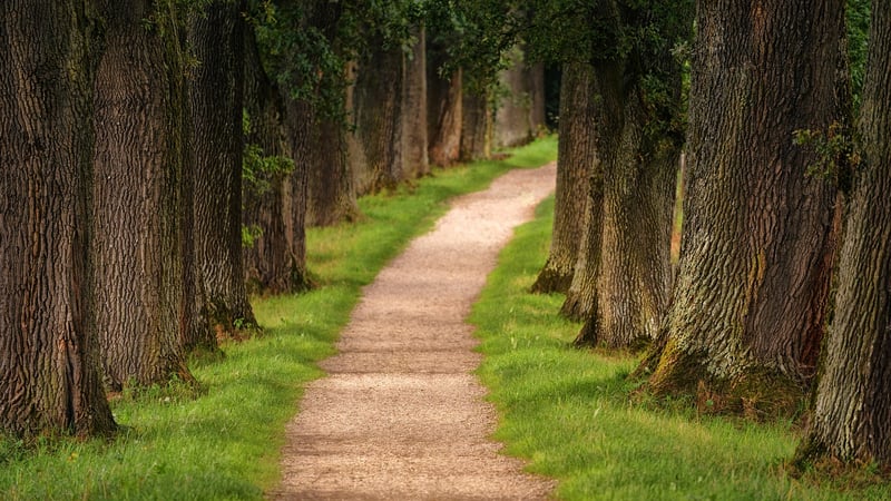 Mountain Hiking Trail